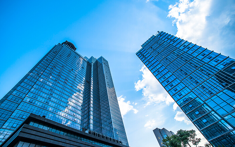 飞马舒行公司介绍